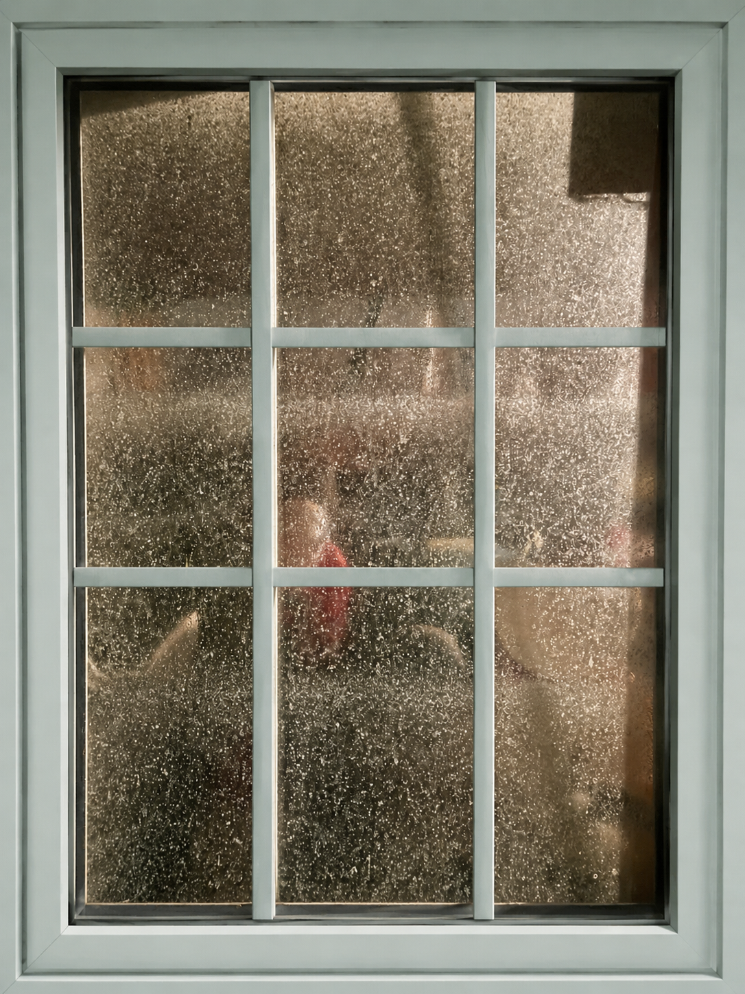 Before and after window cleaning — before